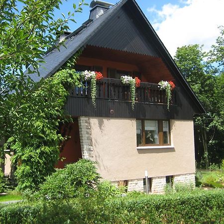 Ferienwohnung Am Waeldchen Gohrisch Extérieur photo