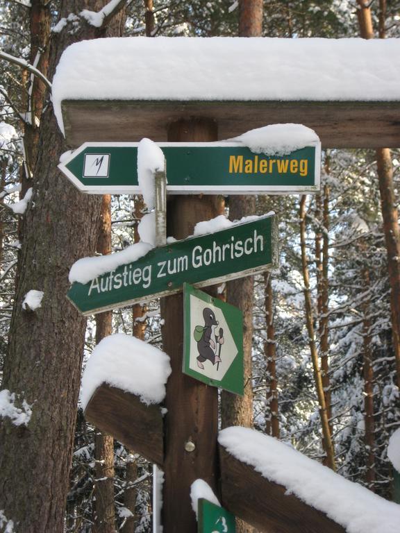 Ferienwohnung Am Waeldchen Gohrisch Extérieur photo