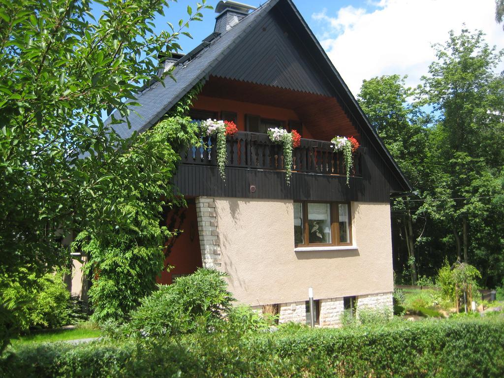 Ferienwohnung Am Waeldchen Gohrisch Extérieur photo